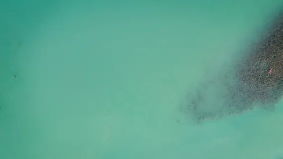 Casino Lucky Luke Tugi